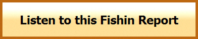 Fishin school