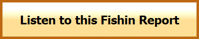 Gulf of Mexico- Federal fishing regulations 