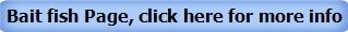 Bait fish Page, click here for more info 